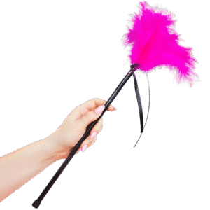 SECRETPLAY - PLUMES ROSE 40 CM