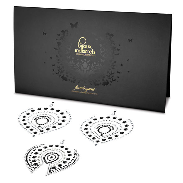 BIJOUX - INDISCRETS FLAMBOYANT NOIR  ARGENT